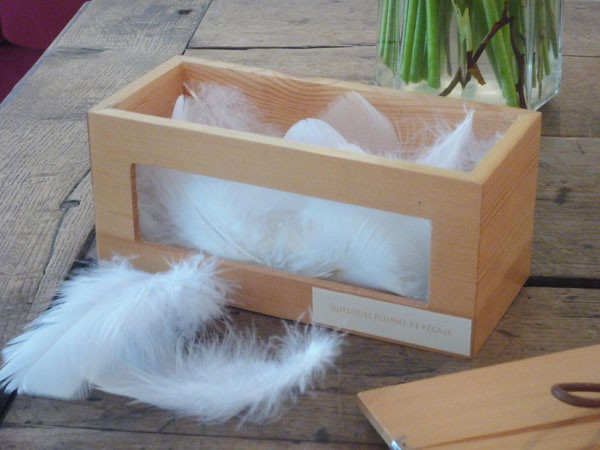 plumes dans une boite